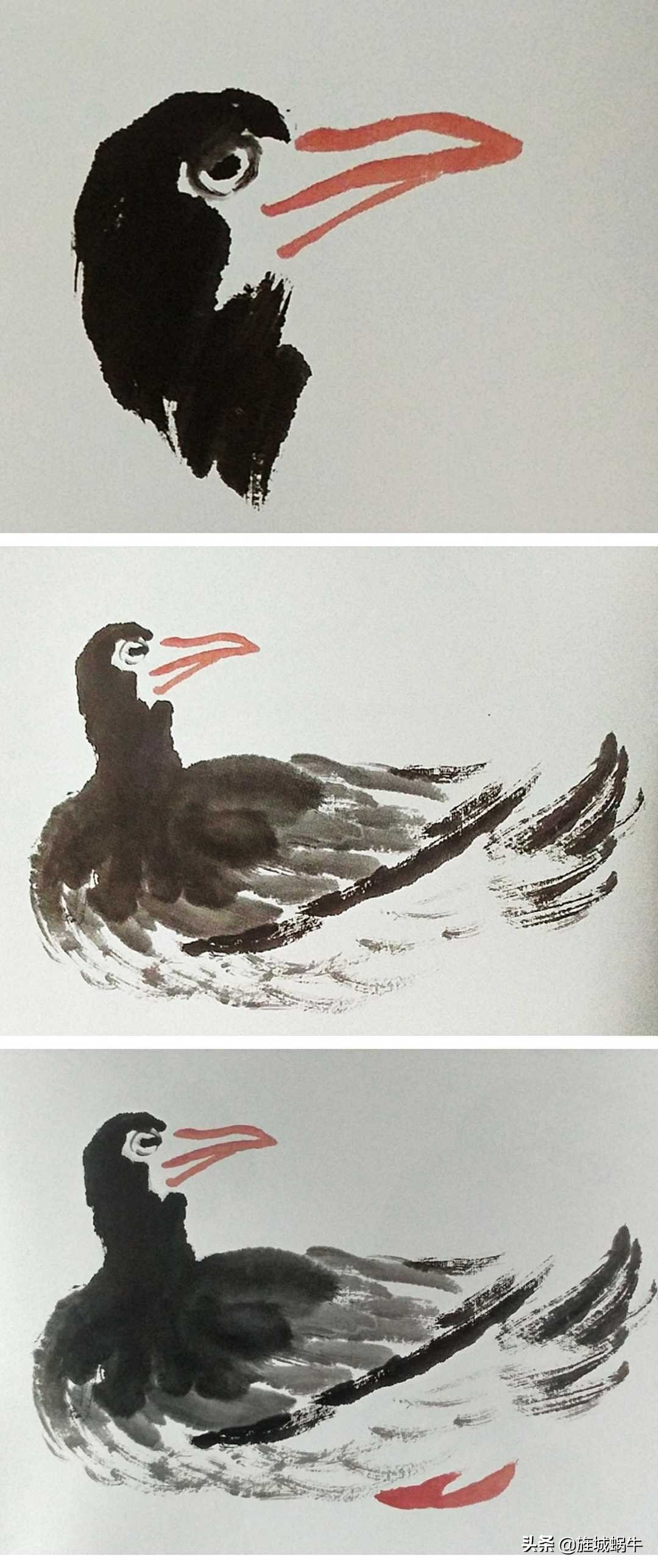 一学就会的禽鸟画法书,禽鸟的画法大全图解