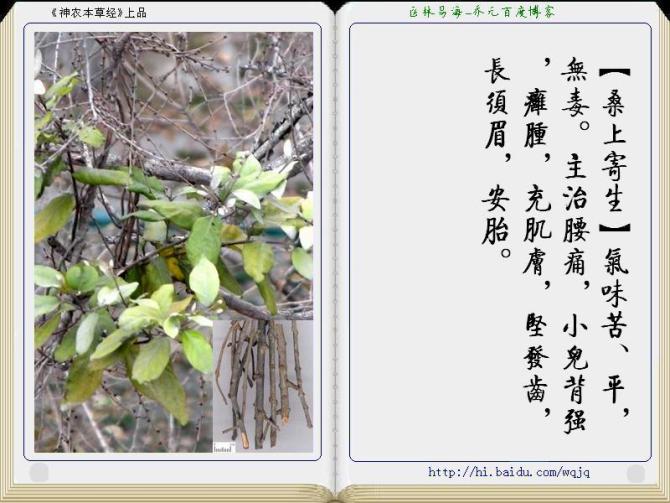 本草纲目中药讲解视频,本草纲目中药图谱及药理讲解