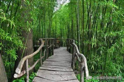 济南周边自驾1-2小时的好去处,2021济南出发五一自驾游推荐