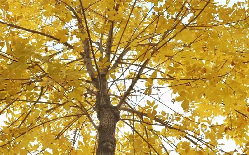 天津工大和河北工大哪个厉害,浙江工业大学