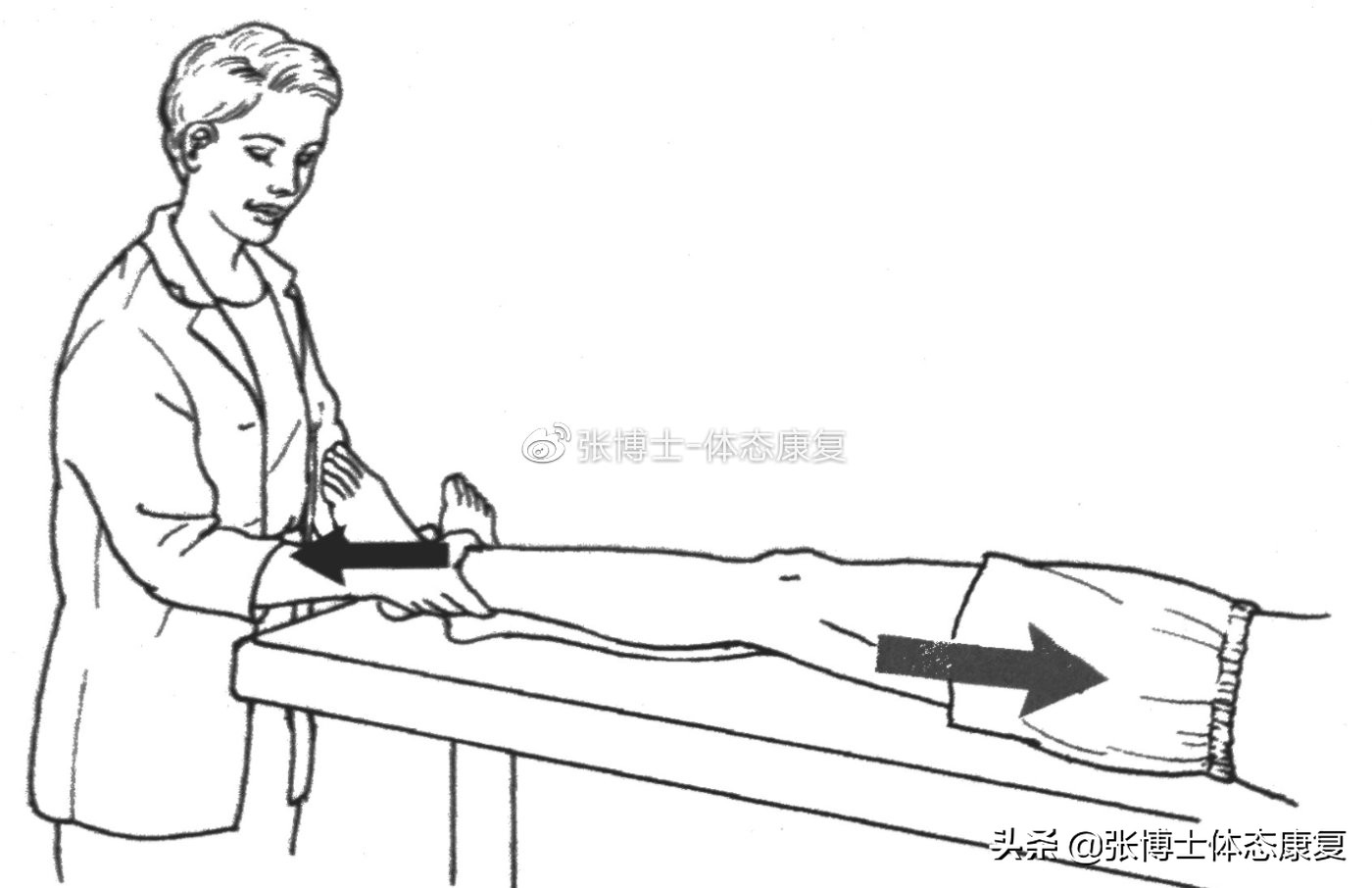 「译文分享」人体侧向子系统与单腿运动的稳定性