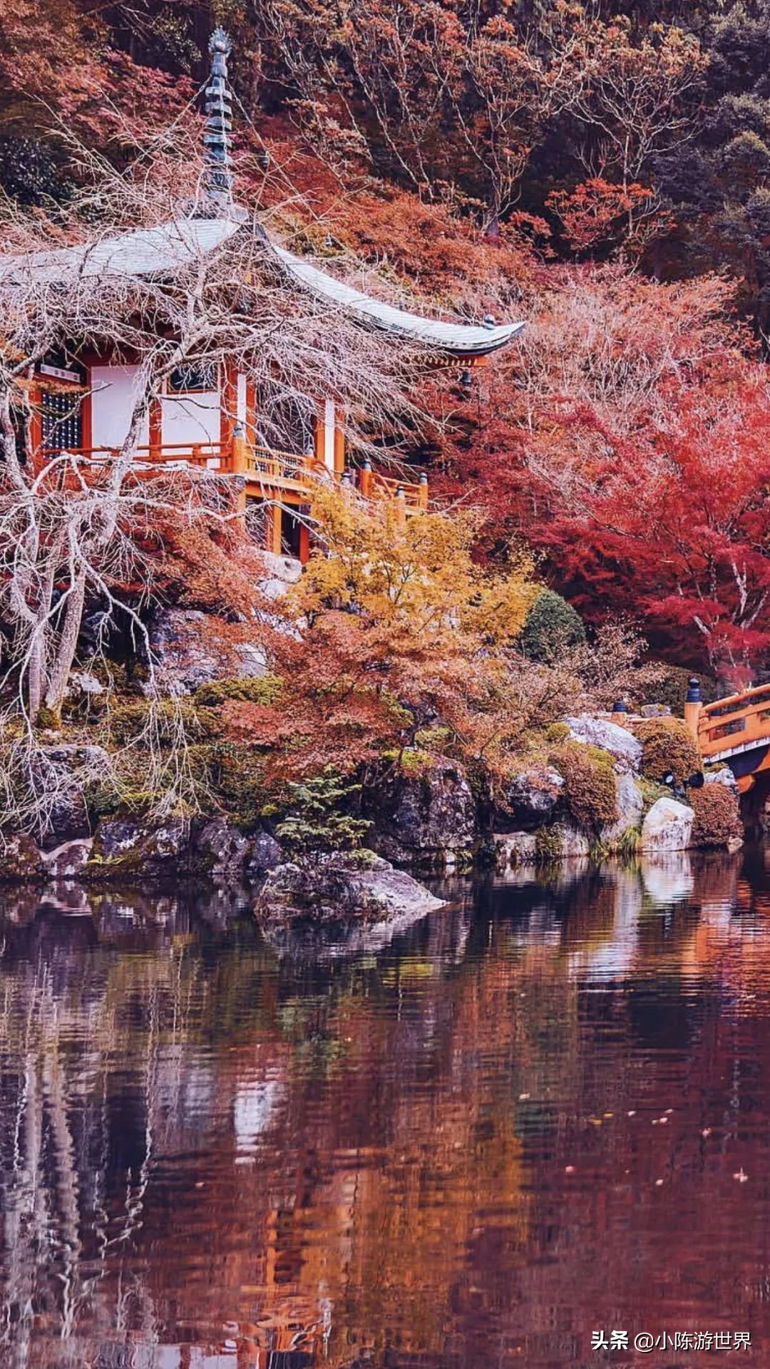 日本赴华旅行,日本赴中国旅游