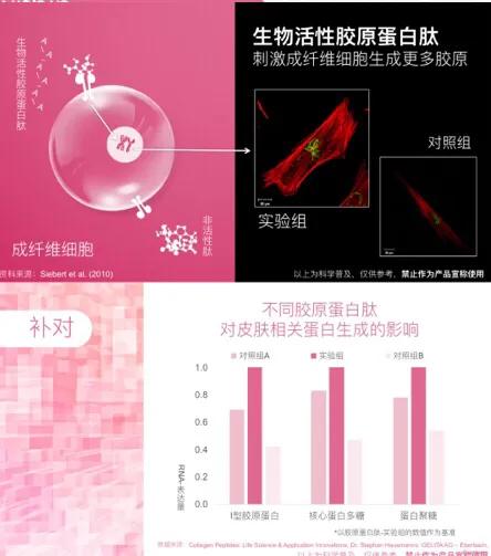 补充胶原蛋白是智商税吗,吃肉皮能补充胶原蛋白吗