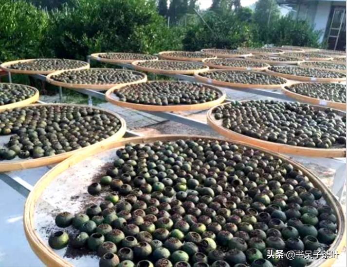 不贪小便宜，不交智商税，阿呆教你如何挑小青柑