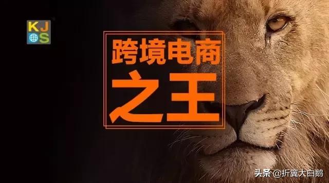跨境电商平台排名,谁是电商第一人