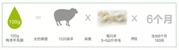 绵羊油怎么用才不油腻,绵羊油好吃吗