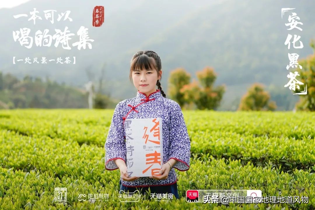 中国茶叶分布图,中国茶区详细分布图