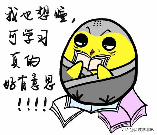 选择显示器主要看显卡吗,选择显示器是根据显卡还是cpu