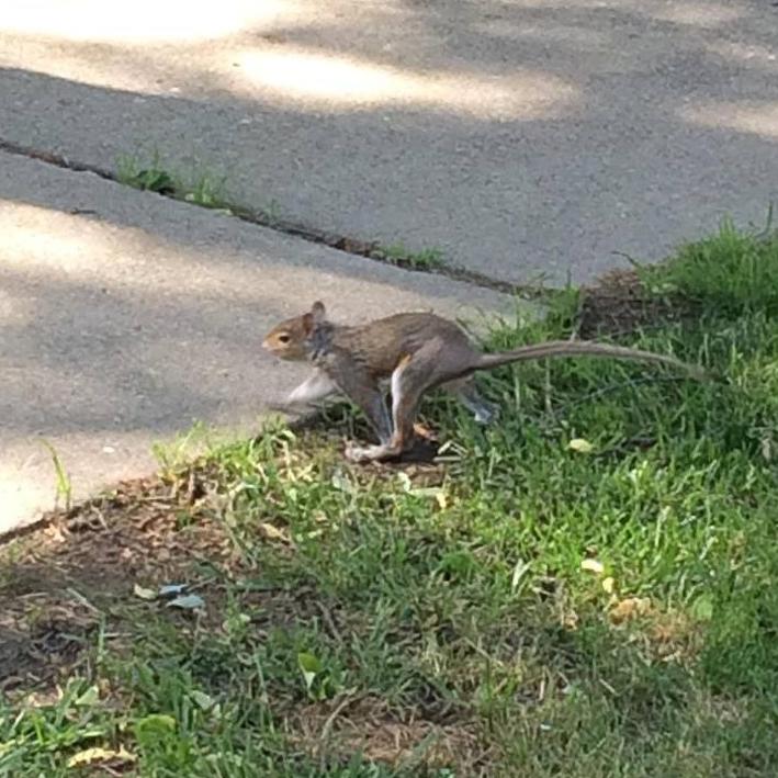 十五张罕见照片神奇而有趣的世界,世界上最有趣的30张照片