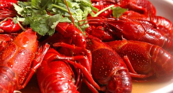 好兄弟夏天就要吃龙虾喝啤酒！南京兄弟龙虾口味绝了~3人仅79元！