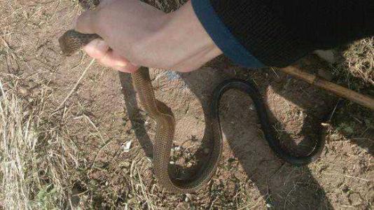 户外钓鱼怎么避免疾病发生,野外钓鱼的十大注意事项