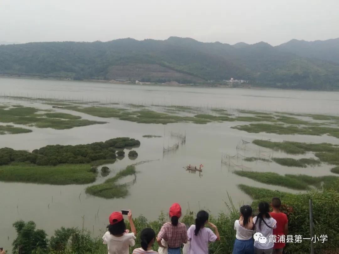 霞浦一中高一新生夏令营,霞浦县夏令营