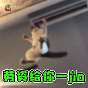 被猫踩了一脚出了一点点血,猫咪被人踩了一脚口吐白沫