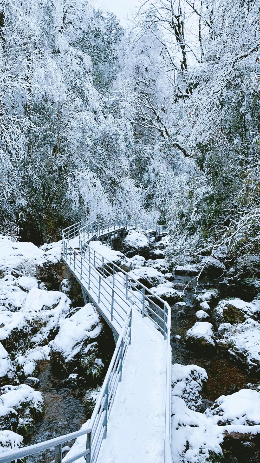 雅安旅行攻略亲子游,雅安市旅行攻略自由行路线