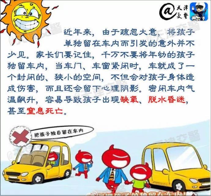 小佩闷死猫事件,小佩猫窝闷死猫