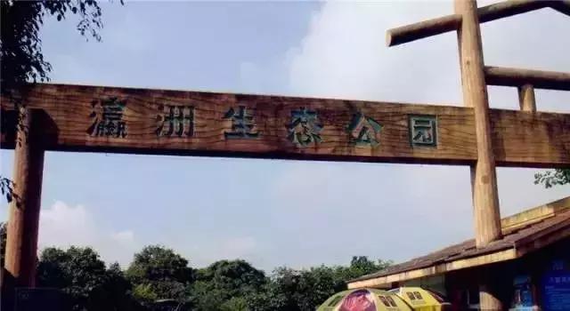 地铁直达!广州15个最适合春游的打卡点,春暖花开超好玩!