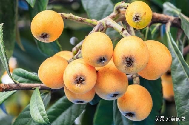 夏天野外一般有什么可以吃的野果,四月份南方常见的野果