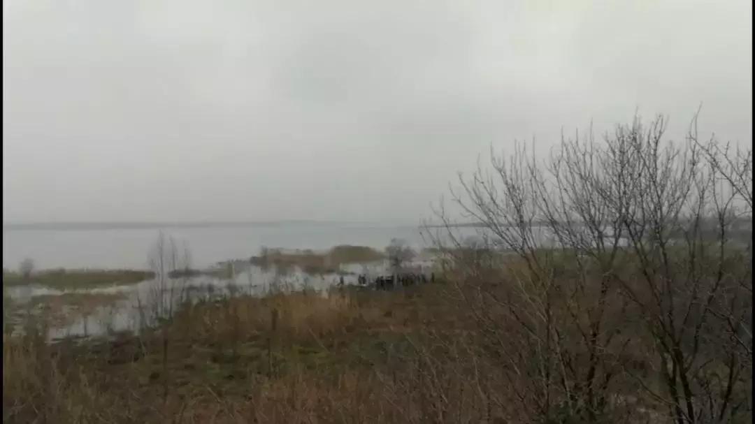 中科大失联博士中遇难,合肥中科大失联博士找到了吗