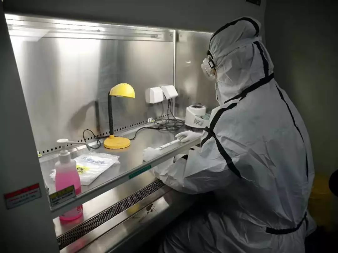 致敬第一诫,致敬第一批开创者