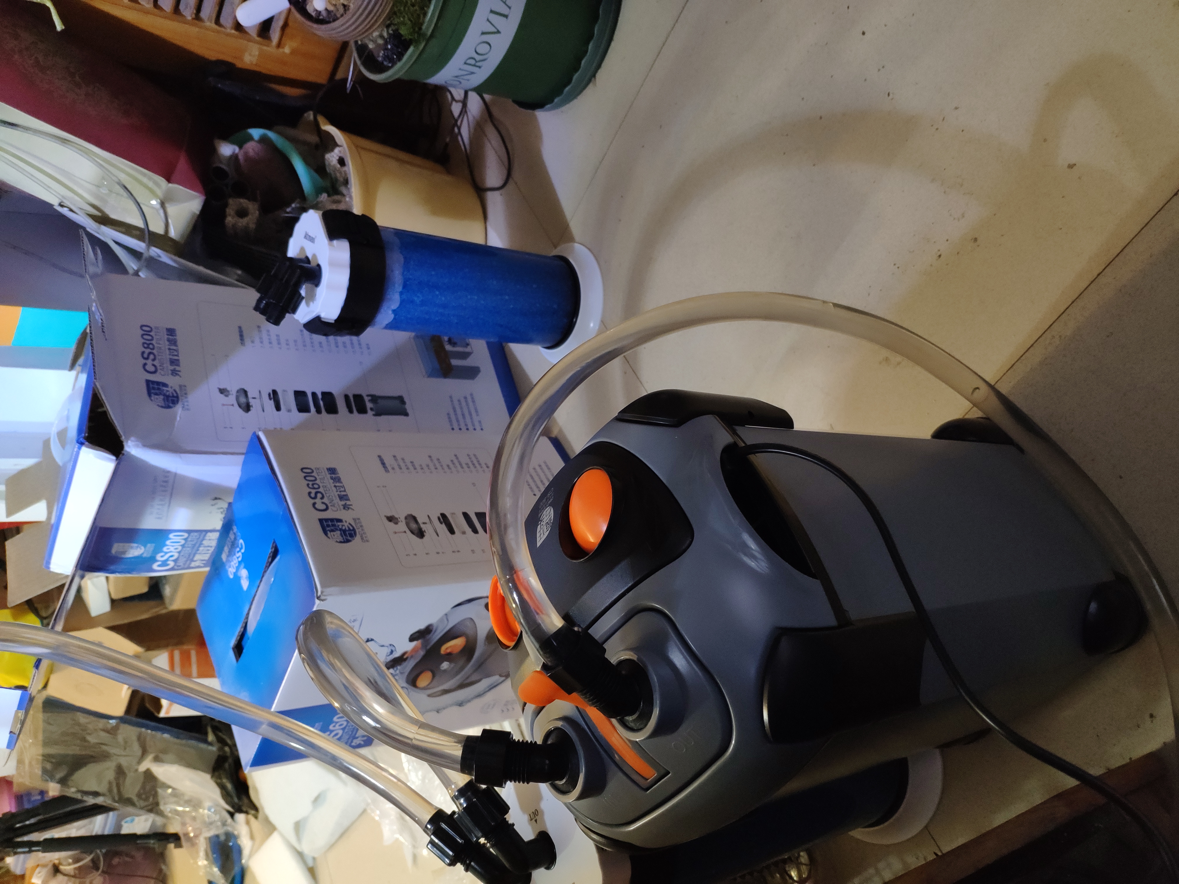 入坑草缸你准备好了吗,草缸入坑观赏鱼