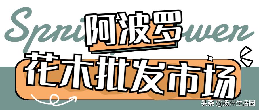 扬州花卉市场大全,扬州西区花卉市场