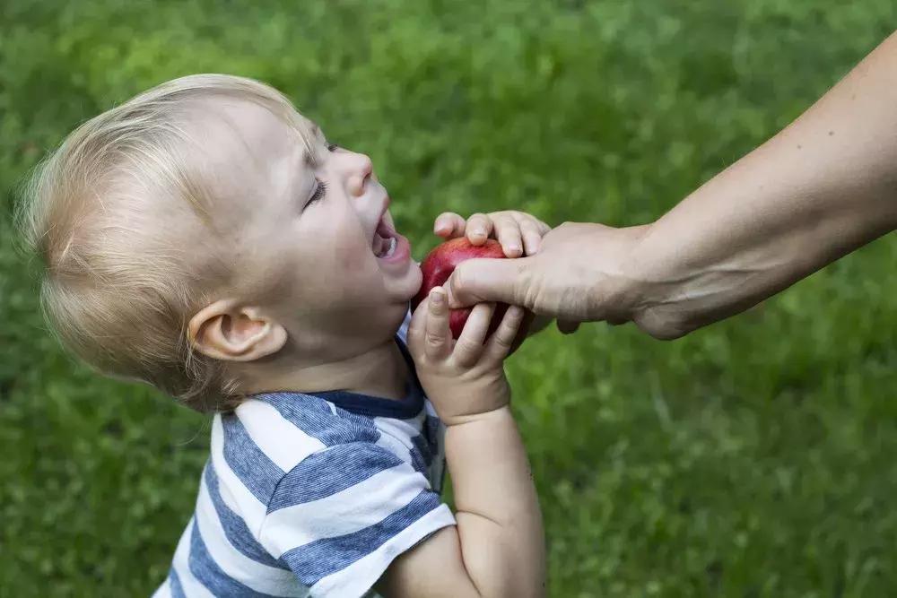 姐姐要让着弟弟会造成什么,当姐姐就该让着弟弟吗