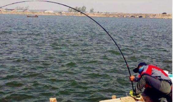 钓鱼断竿最好的方法,钓鱼断竿如何处理视频教程