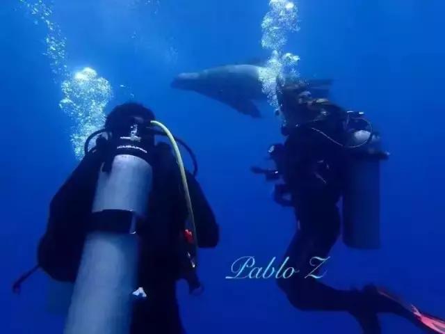 在菲律宾买房赚钱吗,在菲律宾买房出租划算吗