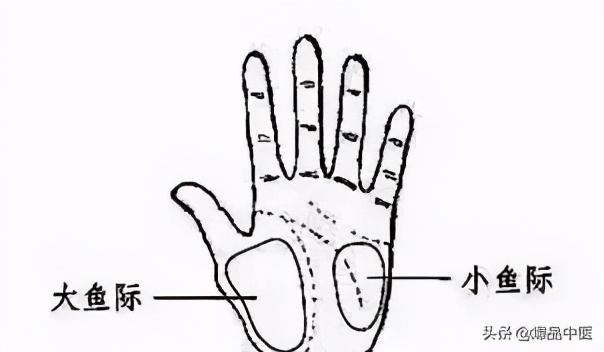 中医经络平衡介入疗法,经络是如何调节人体阴阳平衡的