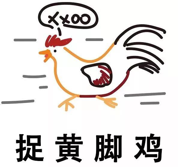 这些粤语俗语的由来,广东俗语大全