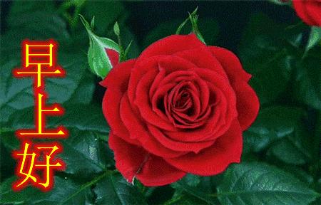 早上发的早安问候语简短,清晨早安温馨问候语集锦