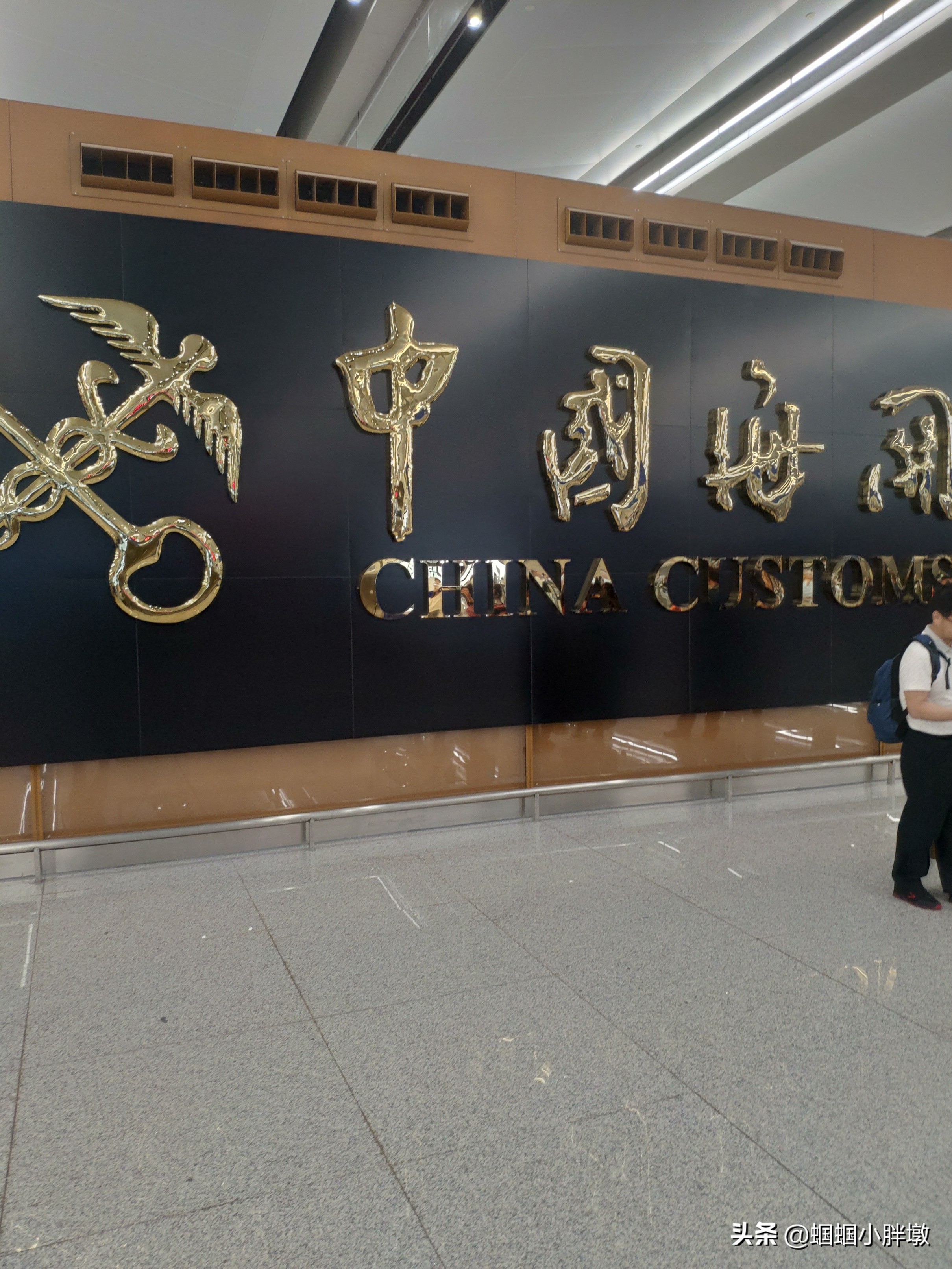 珠海香港旅游攻略自由行,香港珠海自驾过关攻略