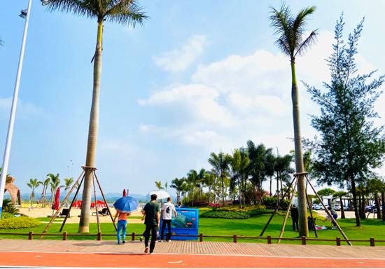 广西钦州碧桂园红树湾房价,钦州市碧桂园红树湾6号楼80平