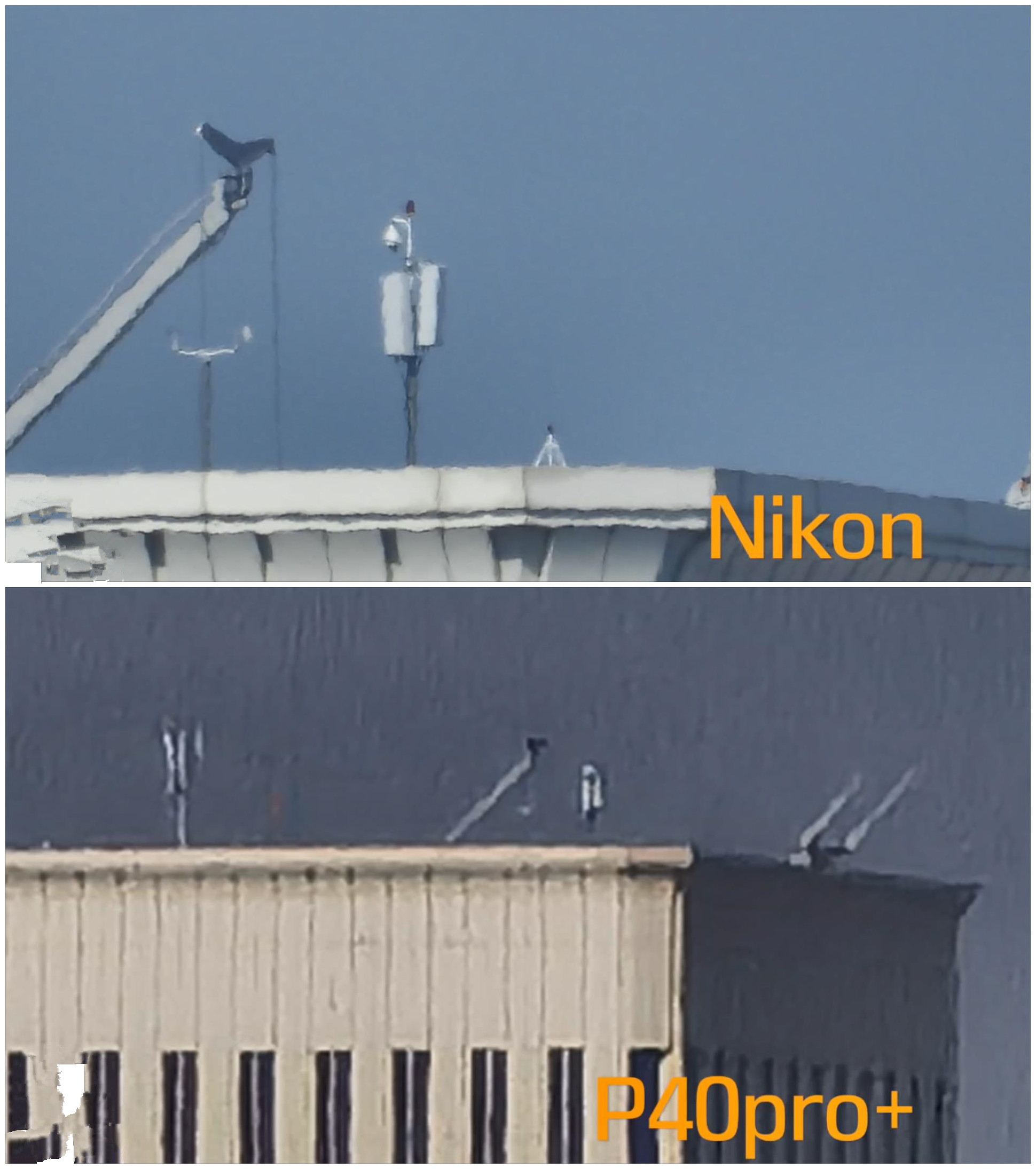 尼康p1000和华为p40拍照对比,尼康p1000对比华为p60