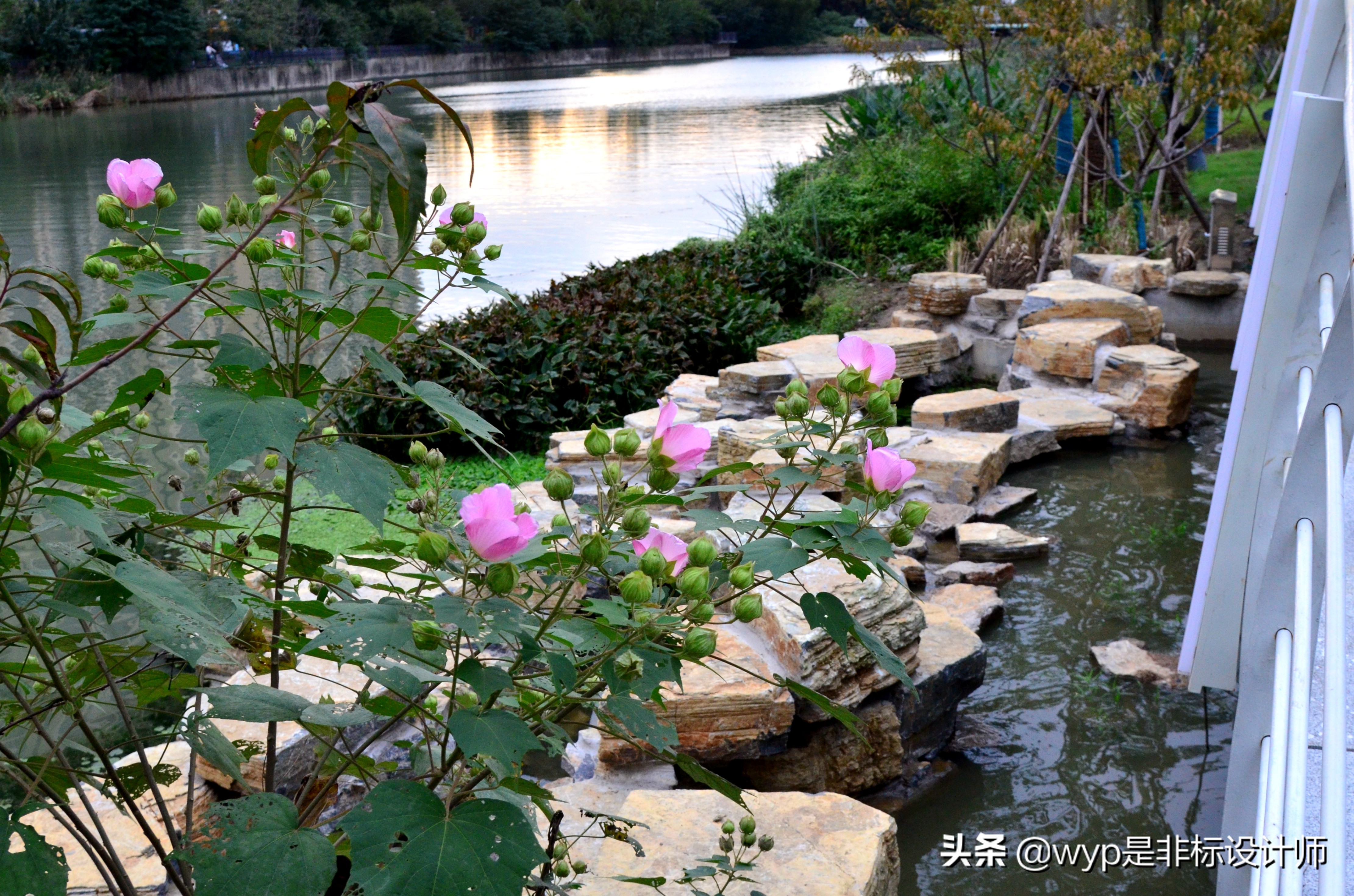 云林仙境航拍,云林仙境美景