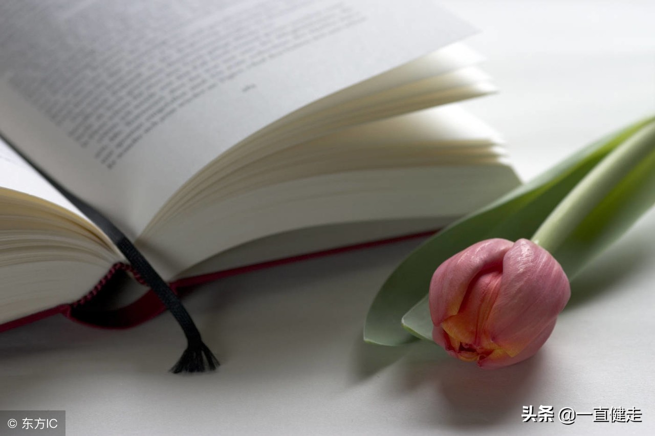 凌濛初——《初刻拍案惊奇》