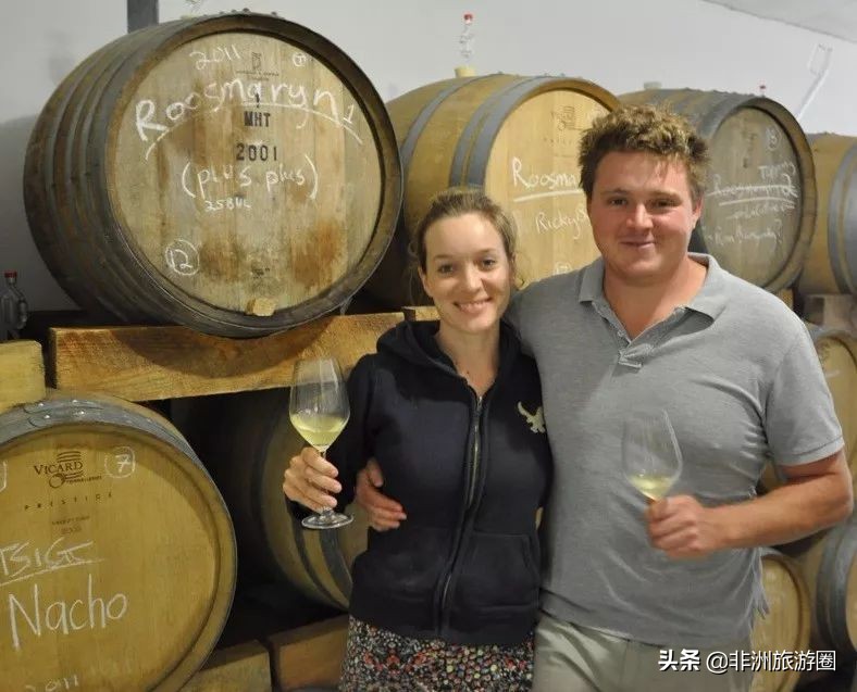 南非有什么葡萄酒好喝又便宜,南非葡萄酒品种