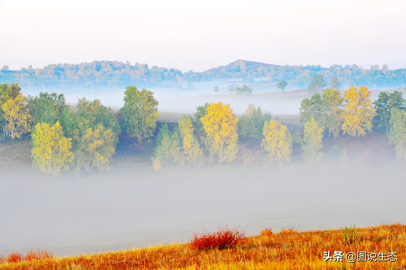 一口气看完塞罕坝全篇,参观塞罕坝有感1000字