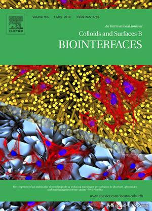 小说封面设计入门教程,怎么让自己的文章变成动画