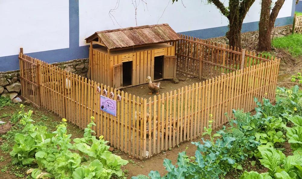 【谁不说咱家乡美】美丽中国，“乡”约万安（河西片）