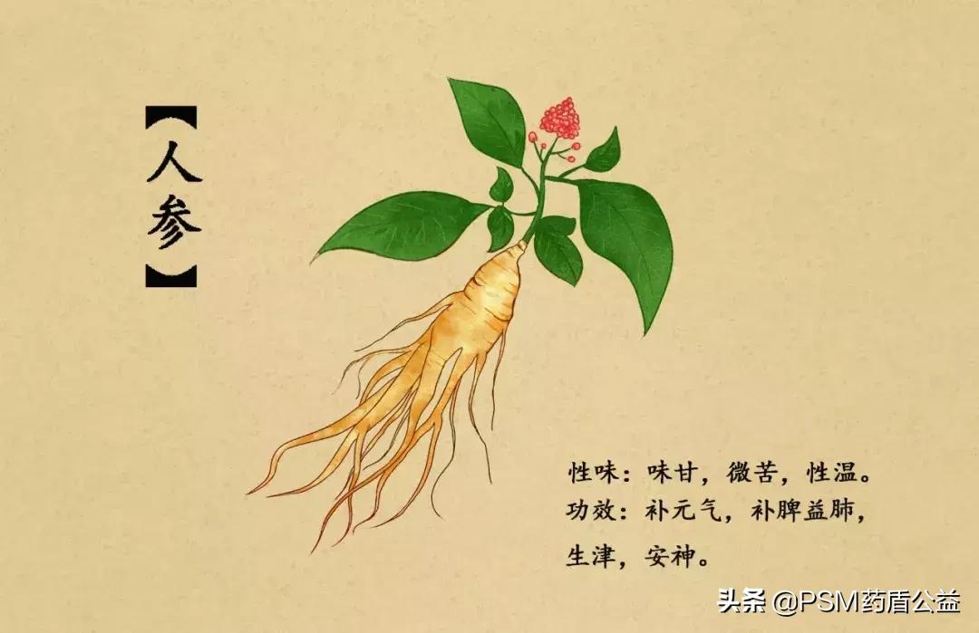 春暖花开手绘视频,春暖花开中药贴画