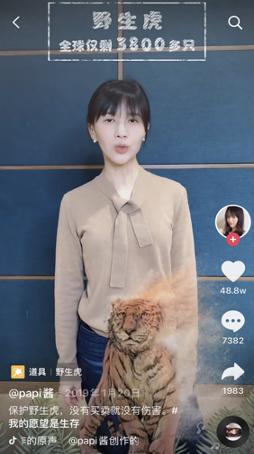 抖音加入打击网络野生动植物非法贸易全球互联网企业联盟