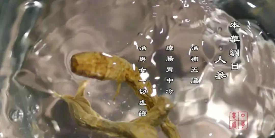 天冷常喝这碗汤滋补润肺还暖胃,冬季必喝这碗汤营养美味老少皆宜