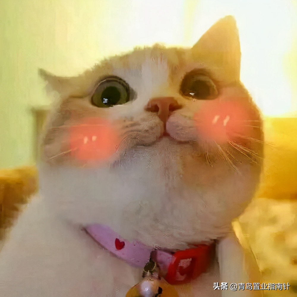 青岛积米崖怎么去,积米崖的路什么时候修好