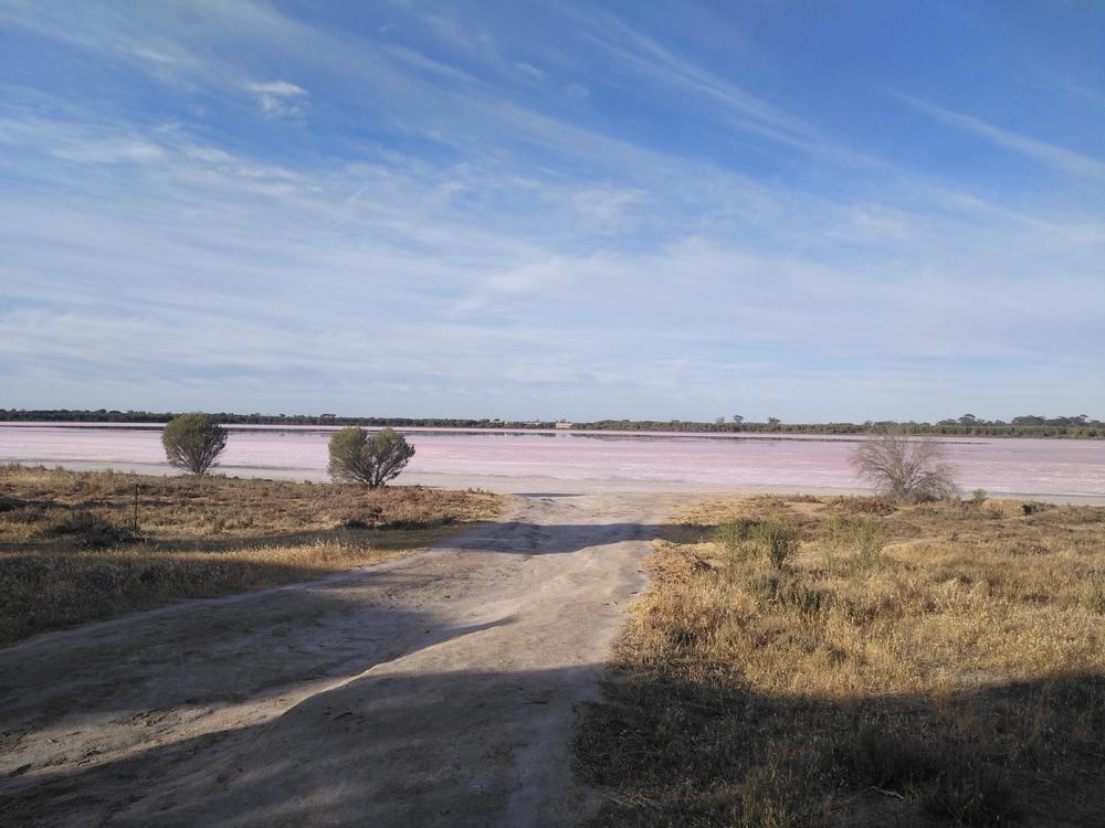 墨尔本阿德莱德周边-粉湖（LochLel）找回遗落的少女心
