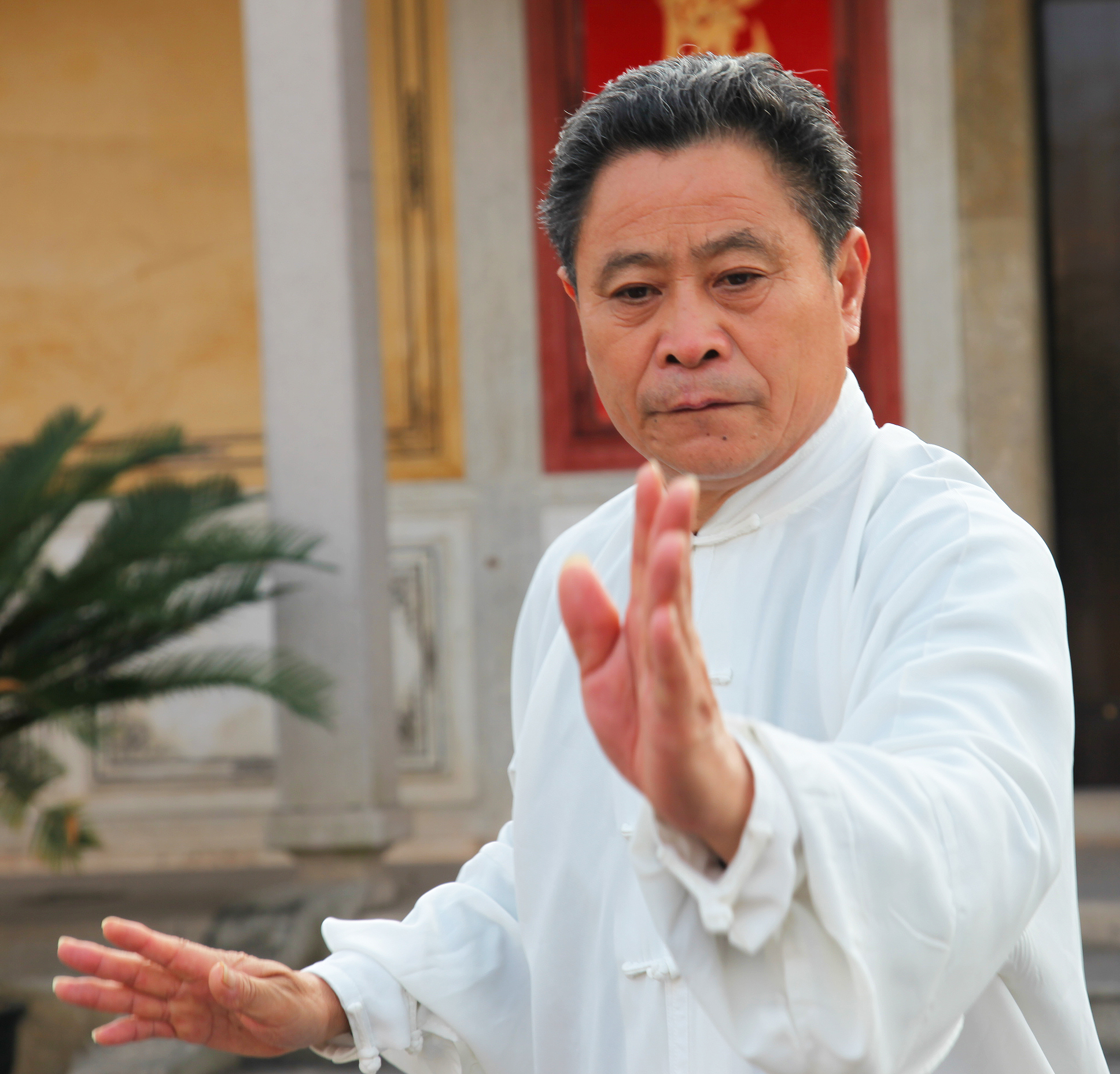 太极拳属于什么文化,太极拳是武术中的一类拳吗