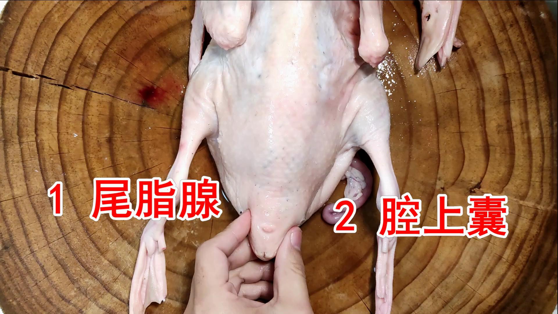 鸭子哪五个部位不能吃,鸭子有寄生虫吗