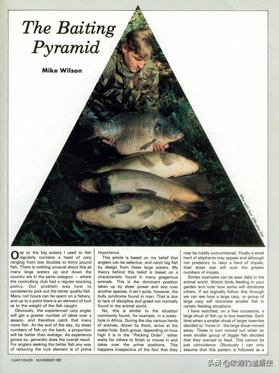 有哪些基础钓法初学者要学会,新手最稳妥的一种钓法