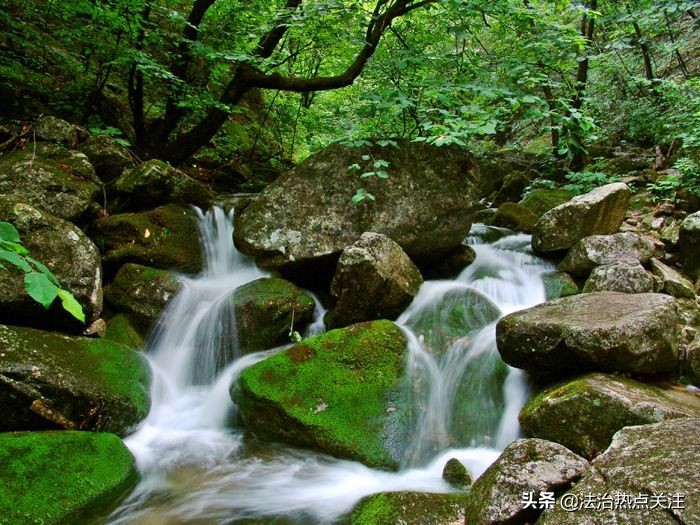 洛阳养子沟快捷酒店,洛阳栾川养子沟青山客栈