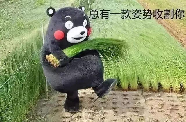 股票投资规避的误区,股票投资心理的十大误区